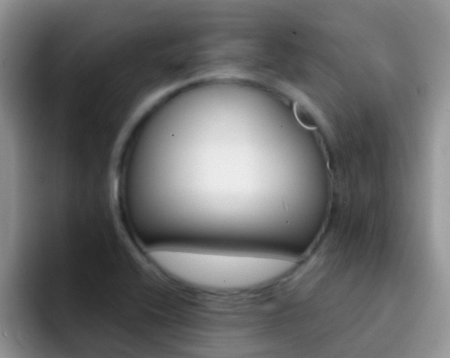 X0000092291416200709140932