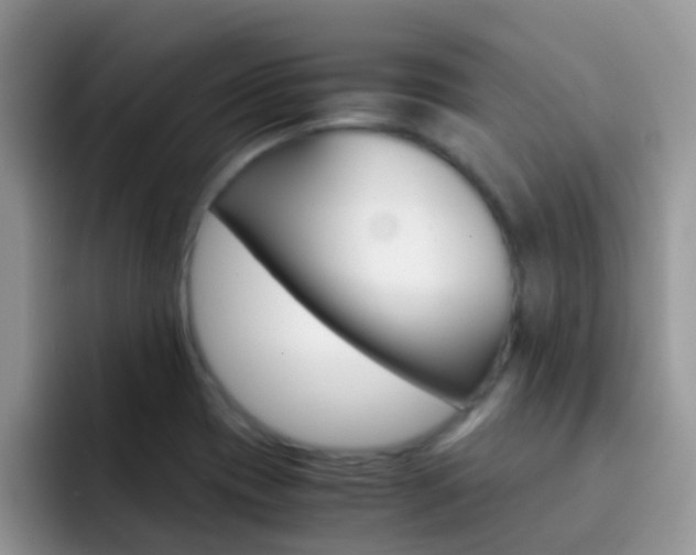 X0000092291417200709140932