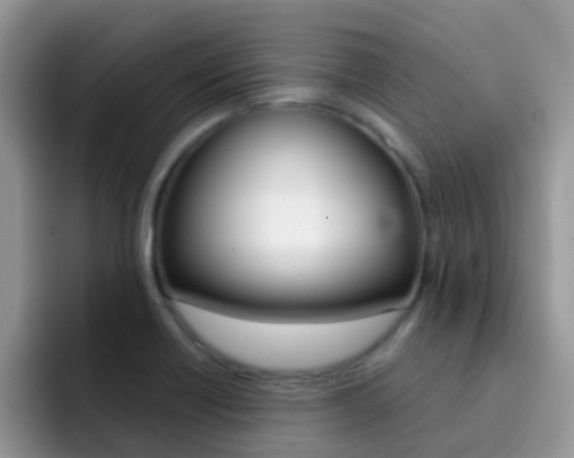 X0000092291418200709140932