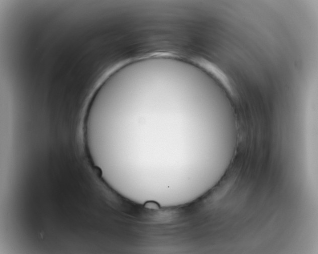 X0000092291423200709140932
