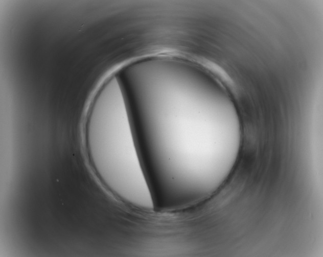 X0000092291424200709140932