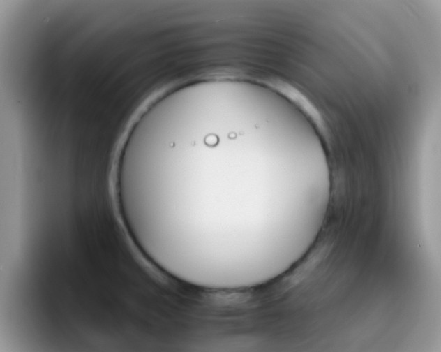 X0000092291429200709140933