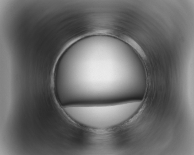 X0000092291436200709140933