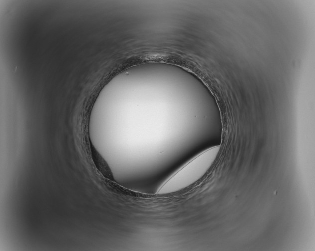 X0000092291441200709140932