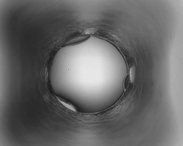 X0000092291443200709140932