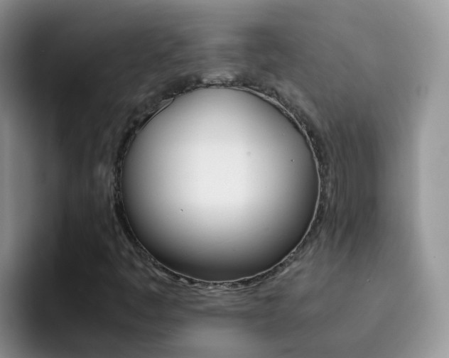 X0000092291445200709140932