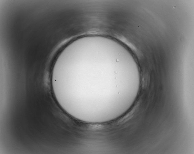 X0000092291454200709140932
