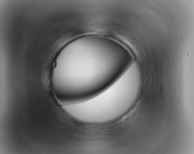 X0000092291455200709140932