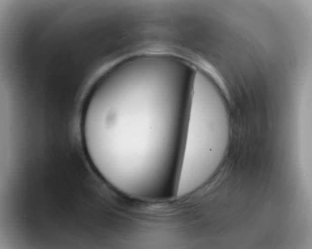 X0000092291464200709140932