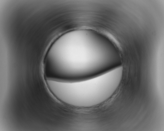 X0000092291476200709140932