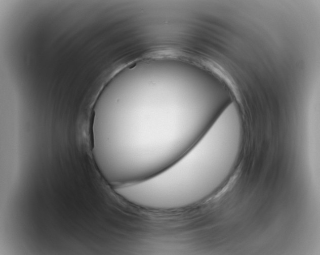 X0000092291481200709140931
