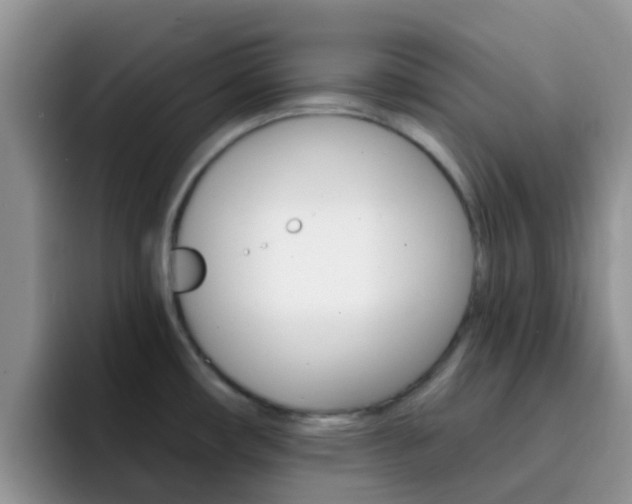X0000092291482200709140931