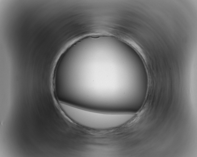 X0000092291485200709140931