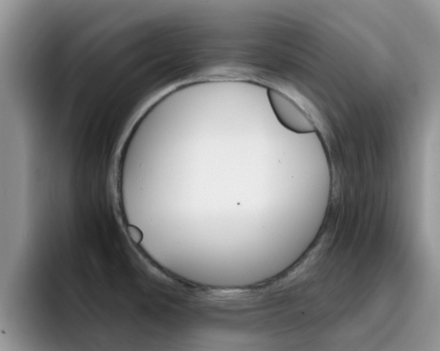 X0000092291486200709140931