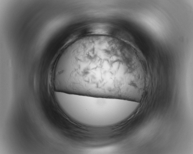 X0000092291487200709140931
