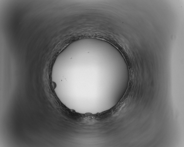 X0000092291489200709140931