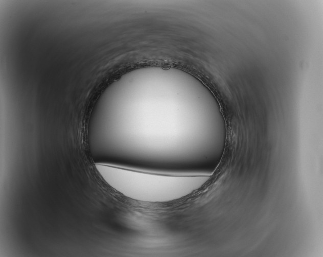 X0000092291490200709140931