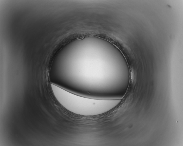 X0000092291492200709140931