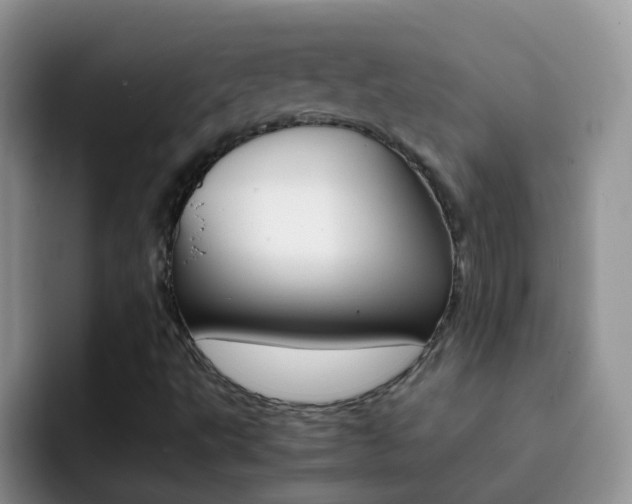 X0000092291495200709140931