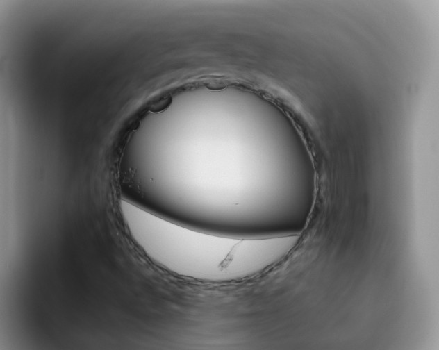 X0000092291496200709140931