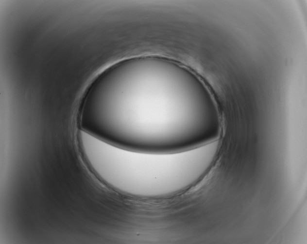 X0000092291500200709140931
