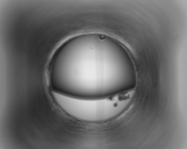 X0000092291510200709140931