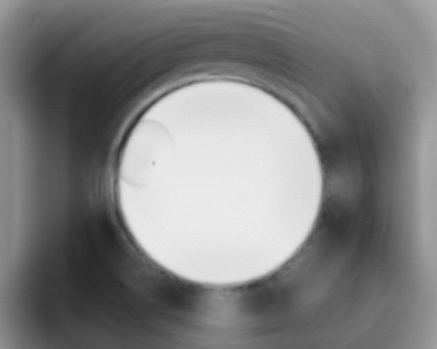 X0000092291514200709140931