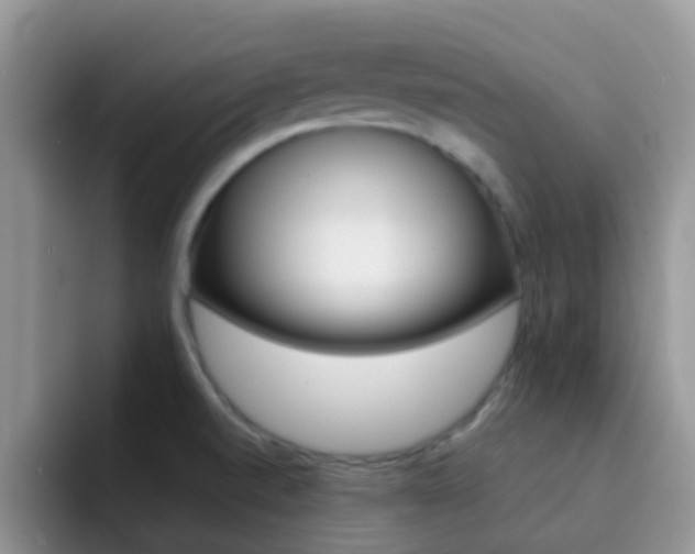 X0000092291520200709140931
