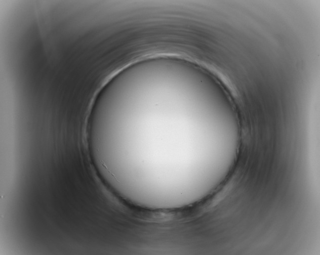 X0000092291521200709140931