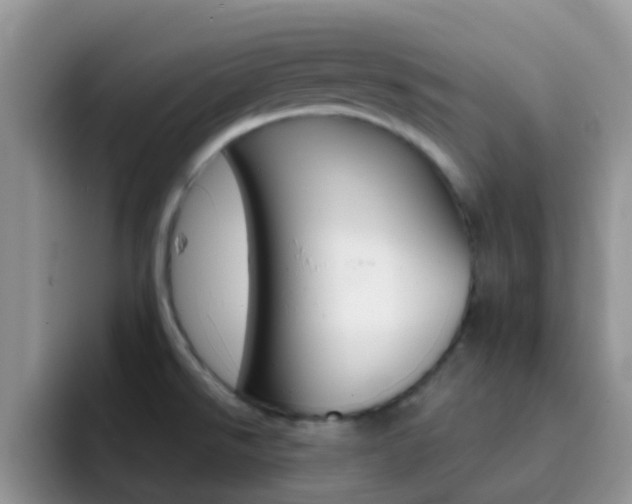X0000092291526200709140931