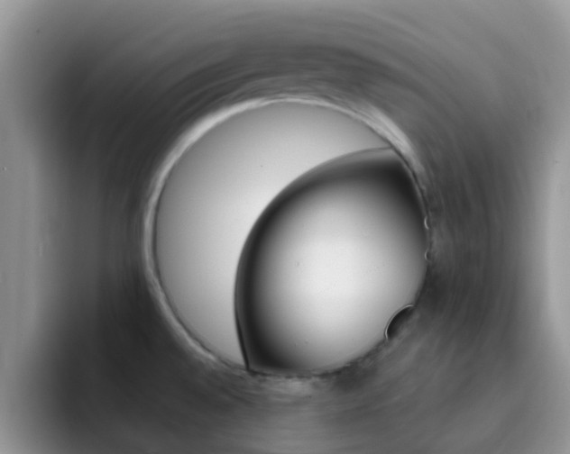 X0000092291528200709140931