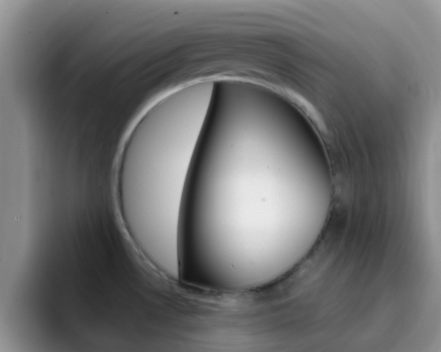 X0000092291530200709140931