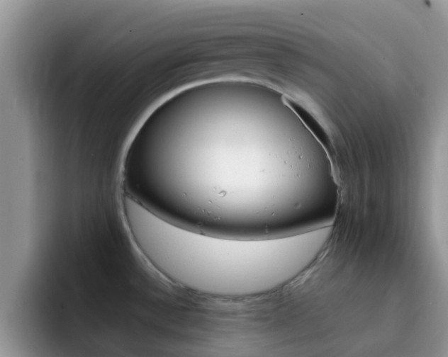 X0000092291532200709140931