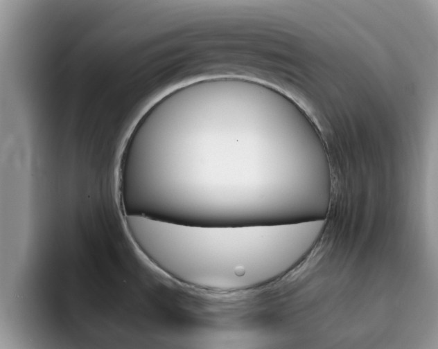 X0000092291535200709140931