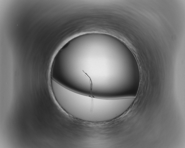 X0000092291536200709140931