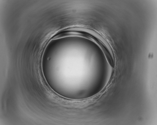 X0000092290001200709141309