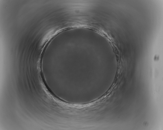 X0000092290002200709141309