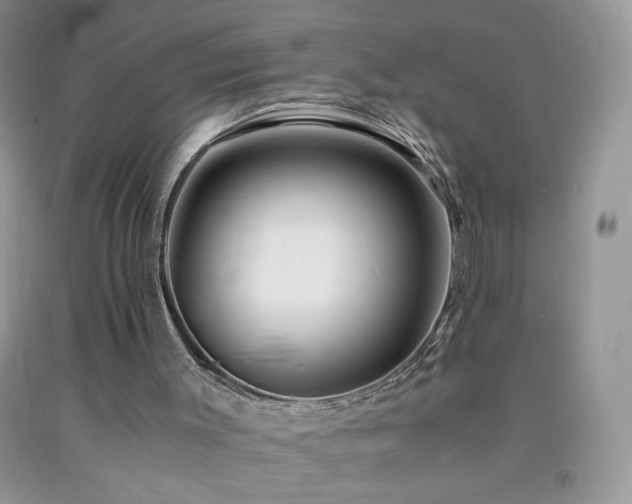 X0000092290003200709141309