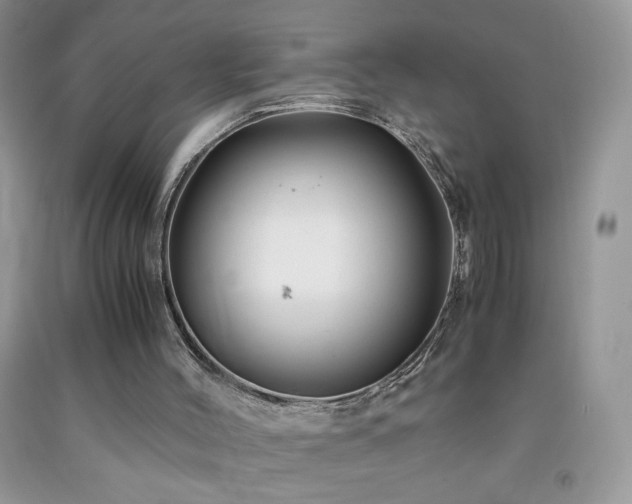 X0000092290004200709141309