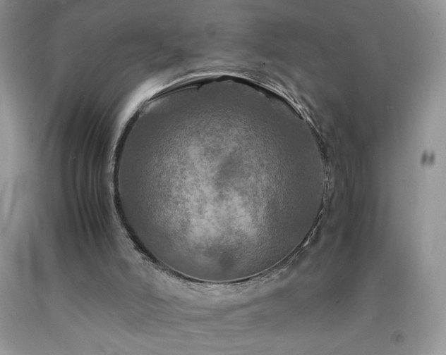 X0000092290006200709141309