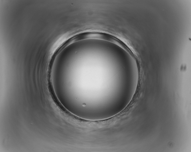 X0000092290007200709141309