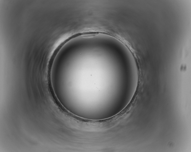 X0000092290008200709141309