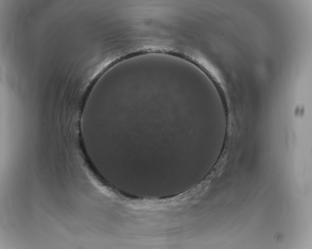 X0000092290009200709141309