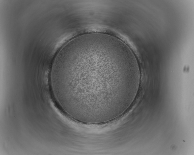 X0000092290010200709141309