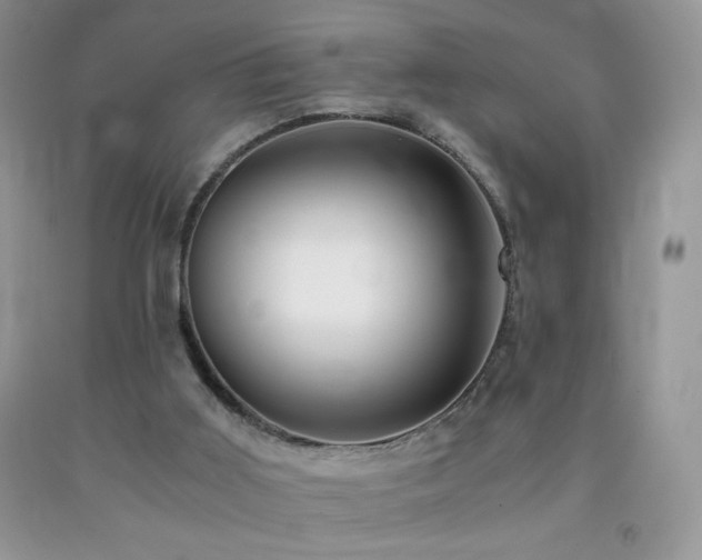 X0000092290011200709141309