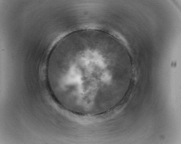 X0000092290012200709141309