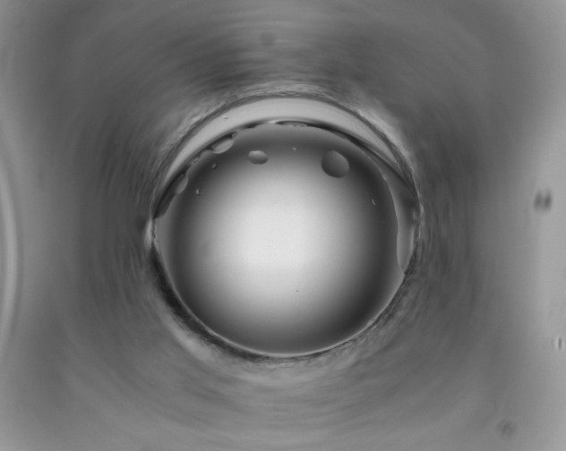 X0000092290013200709141309