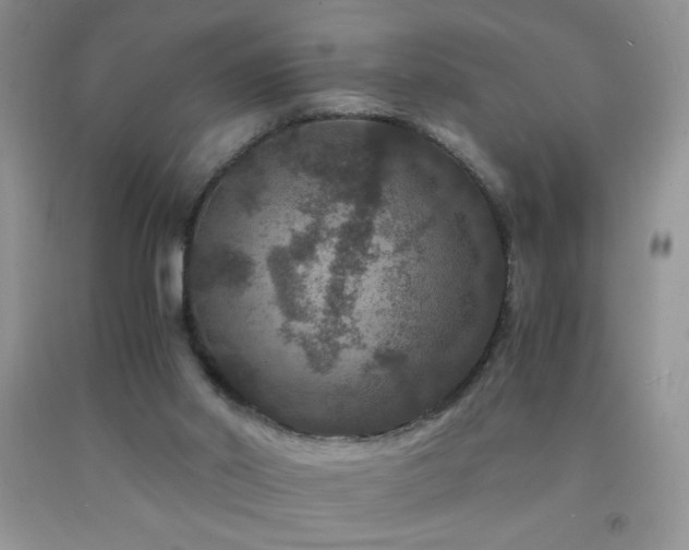 X0000092290014200709141309