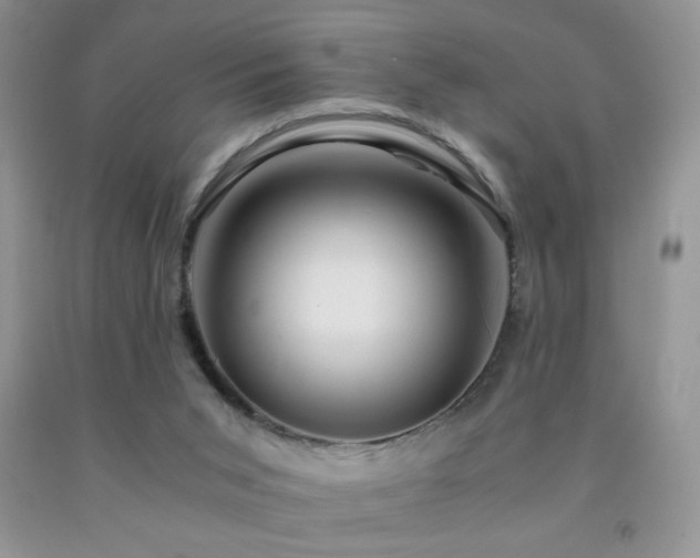 X0000092290015200709141309