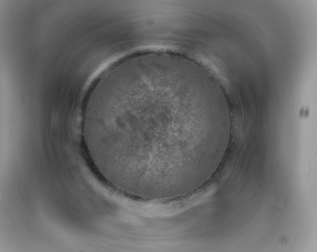 X0000092290016200709141309